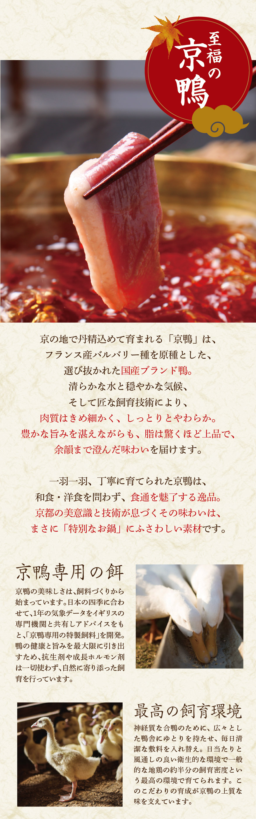 4人前